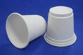 biodegradable disposable corn starch cup 2