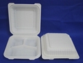 8" 3 compartment biodegradable