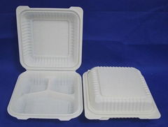 8" 3 compartment biodegradable disposable corn-starch clamshell