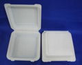 6" corn-starch biodegradable disposable hamburger box 4