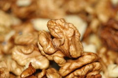 walnut kernels