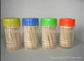 Natural hard round bamboo/wood toothpicks with tub packing 2