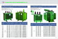 Oil-immersed Distribution Transformer (SH15-M-1600kVA) 3