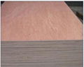 Good quality plywood, Okoume plywood board 3