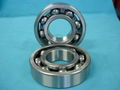 Deep groove ball bearings 1