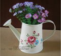 Wow! Cute Metal Watering Can-shaped Graden Watering Can small flower pot desktop 1