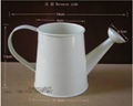 Wow! Cute Metal Watering Can-shaped Graden Watering Can small flower pot desktop 2