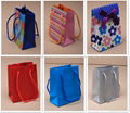 Paper Laminated Bags 1