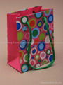 Paper Laminated Bags 2