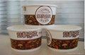 Custom   Ice Crem  Pper Bowl/Soup Bowl/Food Cup 5
