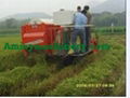 Rice combine harvester 2