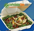 Disposable Bagasse Tableware