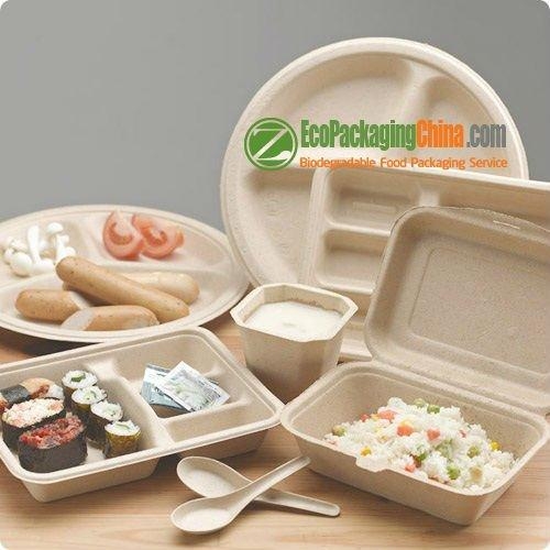 Download Eco Friendly Bagasse Paper Clamshell Packaging Zx3 B 16 Ecopackaging China Trading Company Tableware Home Supplies Products