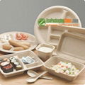 eco friendly bagasse paper clamshell packaging