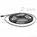 5m smd 5050 60leds/m CE and RoHS apprived cheap flexible led strip light 1