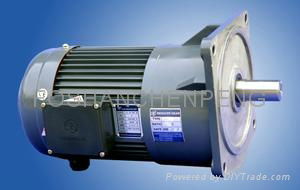 Flanged Mounted Gear Motor