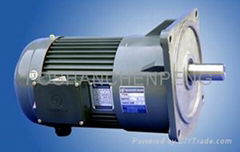 Flanged Mounted Gear Motor