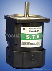 Round Shaft Gear Motor