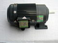 Geared Motor Horizontal Type 1