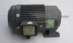 Gear Reduction Motor