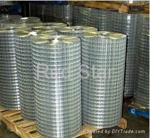 Galvanized welded wire mesh 