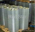 Galvanized welded wire mesh  1