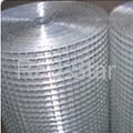 Galvanized welded wire mesh  2