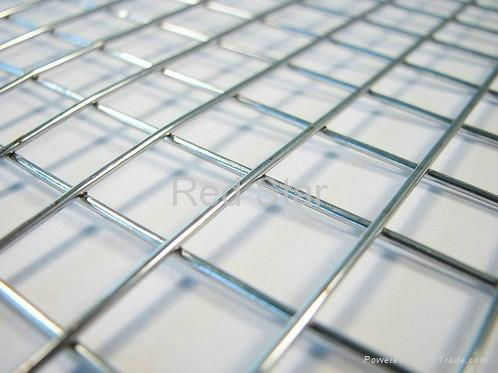 Stainless steel Welded Wire Mesh 2