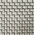 Galvanized Iron Wire Mesh  1