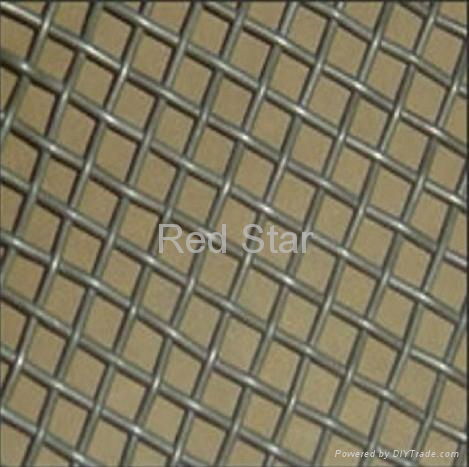 Galvanized Iron Wire Mesh  2