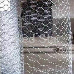 Hexagonal Wire Mesh 