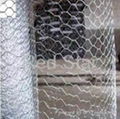 Hexagonal Wire Mesh  1