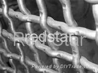 Heavy Crimped Wire Mesh 2