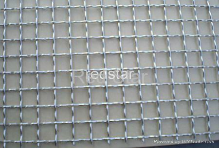 Stainless Steel Crimped Wire Mesh 3