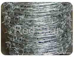 Barbed Wire