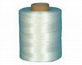 Polishing polyester cord