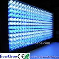 300w led aquarium light  1