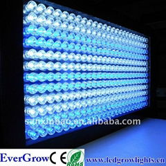 300w led aquarium light 