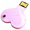 OEM Promotional Key style USB Flash Memory  5