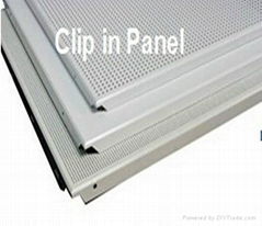 Clip in panel