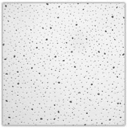 Acoustic Ceiling Tile