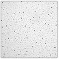 Acoustic Ceiling Tile 1