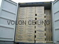 Mineral false ceiling 2