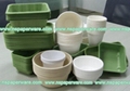 Biodegradable Bagasse Plant Disposable