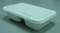 600ml Biodegradable Bagasse Disposable Bento Lunch Boxes 3