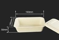 600ml Biodegradable Bagasse Disposable Bento Lunch Boxes 4