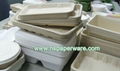 1000ml Multi-compartment Biodegradable Disposable Bagasse Bio Lunch Box 4