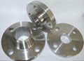 Steel Flange 1