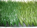 Artificial grass for soccer field 1