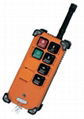 Industrial Radio Remote Control 1